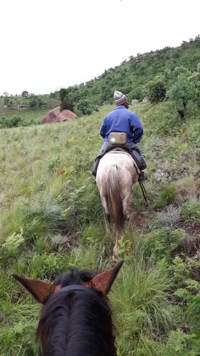 KZN11.jpg(29).jpg