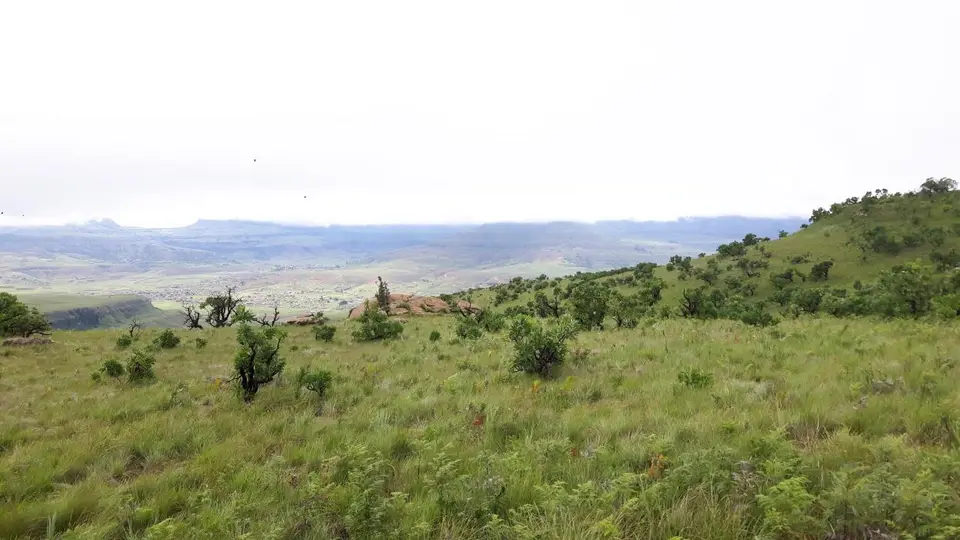 KZN11.jpg(30).jpg