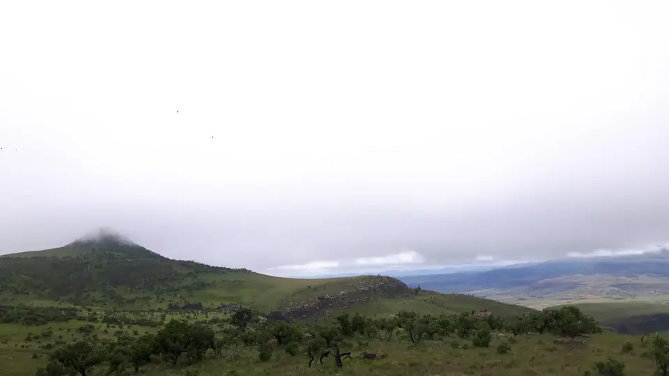 KZN11.jpg(31).jpg