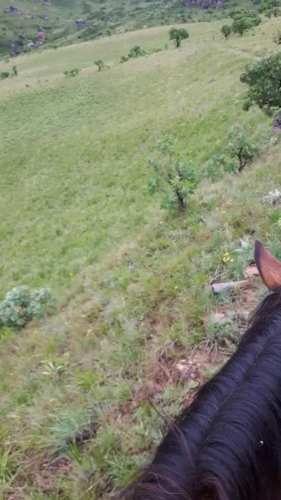 KZN11.jpg(33).jpg
