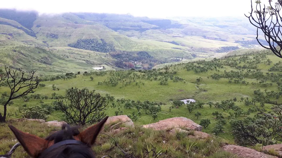 KZN11.jpg(37).jpg