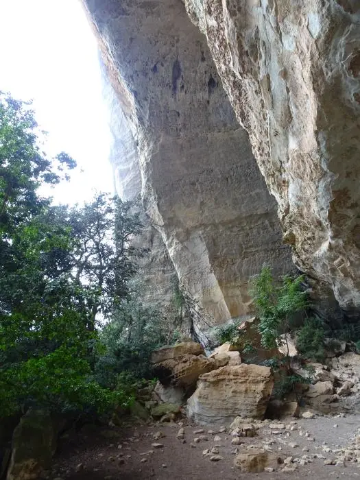 KZN11.jpg(41).jpg