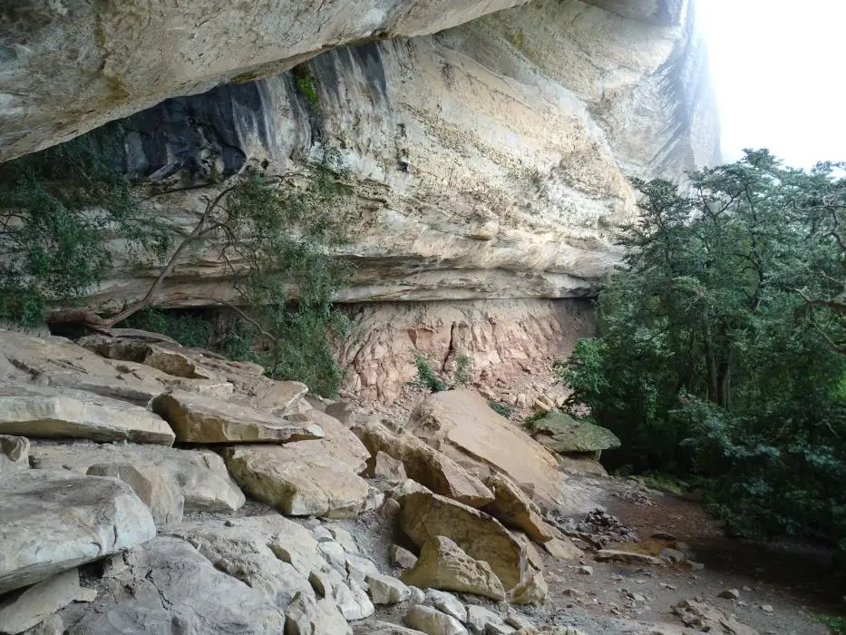 KZN11.jpg(45).jpg