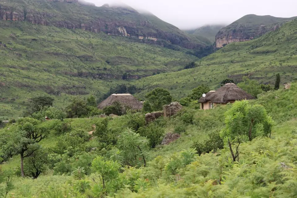 KZN11.jpg(46).jpg