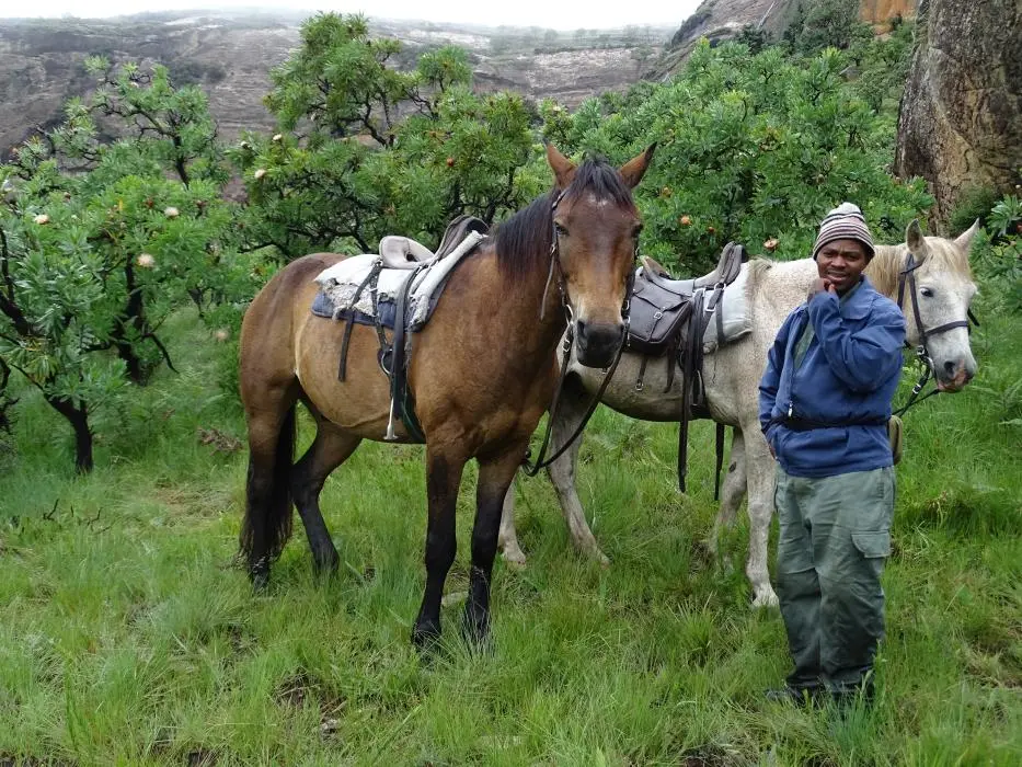 KZN11.jpg(49).jpg