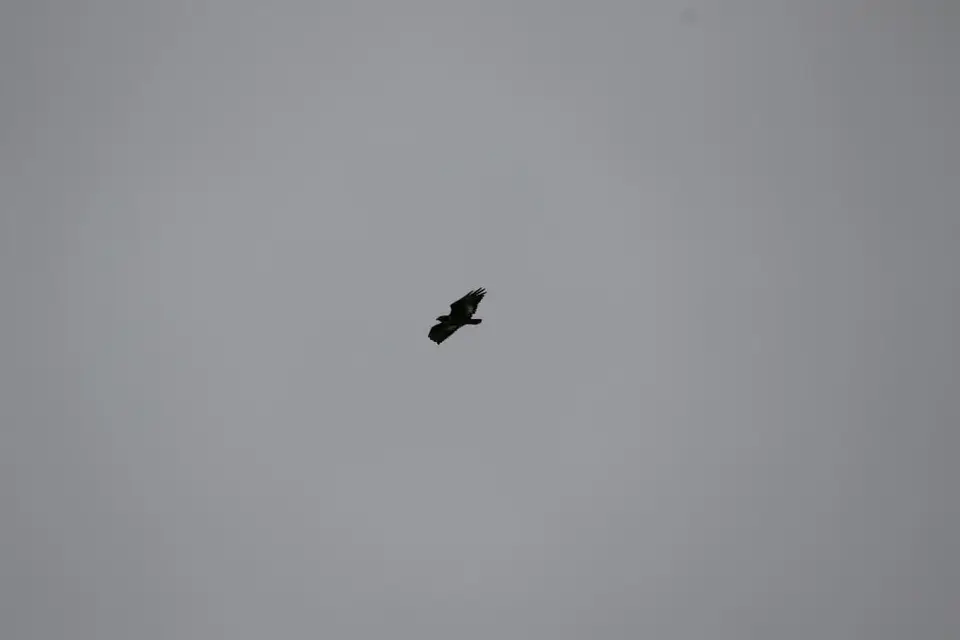 KZN11.jpg(53).jpg