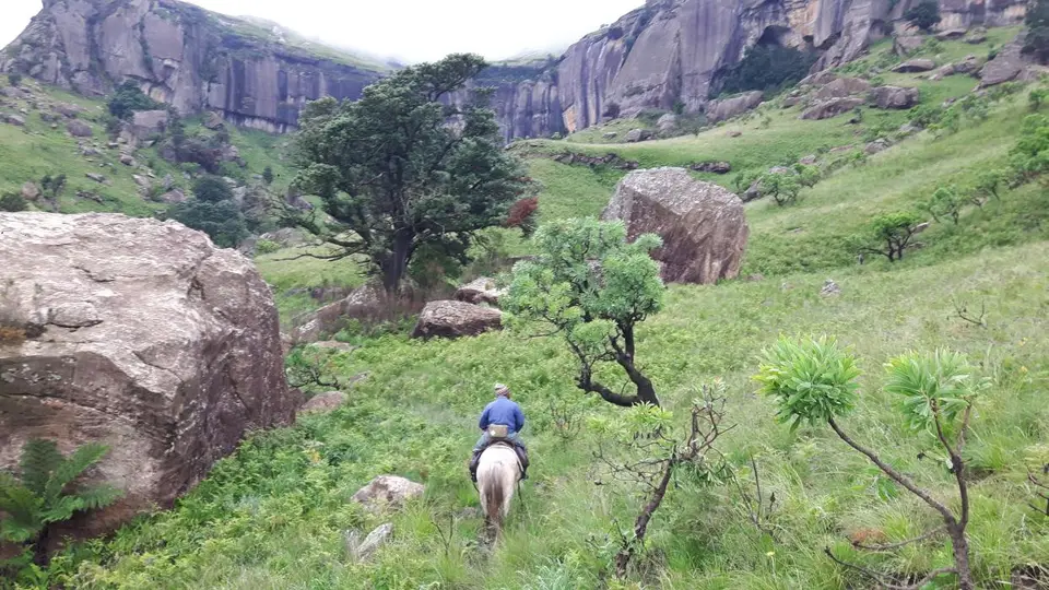 KZN11.jpg(62).jpg