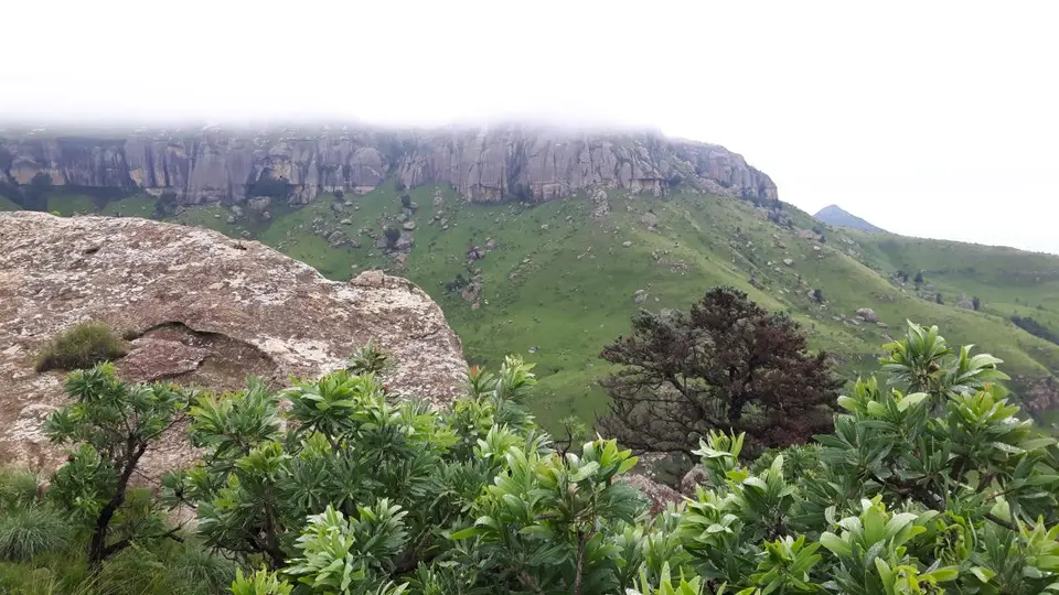 KZN11.jpg(64).jpg