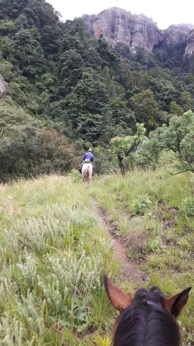 KZN11.jpg(65).jpg