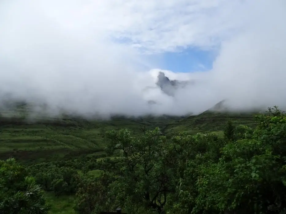 KZN11.jpg(7).jpg