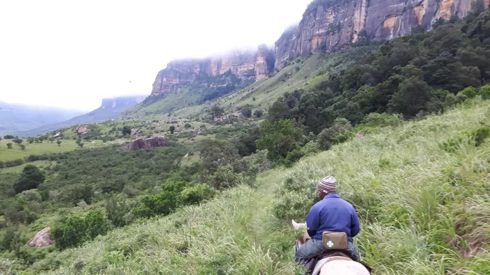 KZN11.jpg(76).jpg