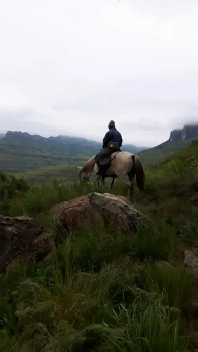 KZN11.jpg(78).jpg