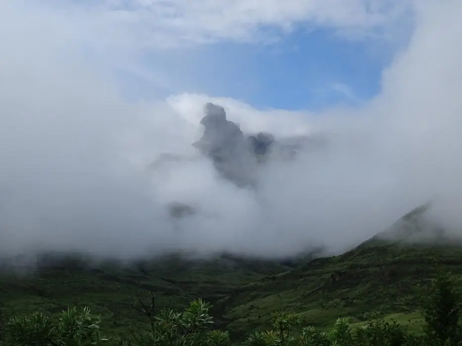 KZN11.jpg(8).jpg