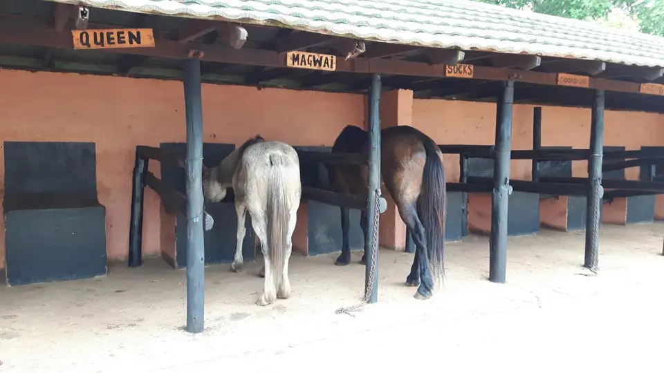 KZN11.jpg(80).jpg
