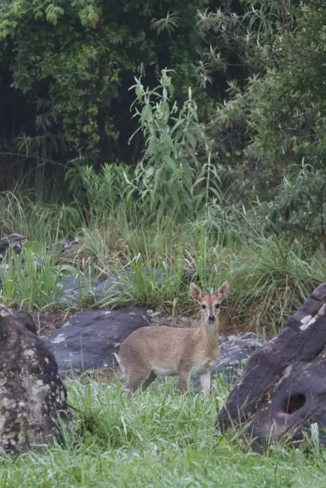 KZN12.jpg(2).jpg