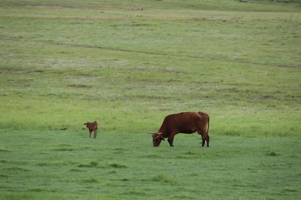 KZN12.jpg(39).jpg