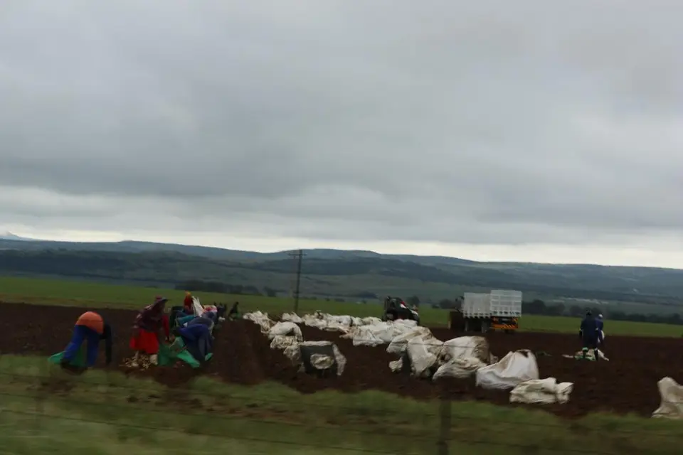KZN12.jpg(45).jpg