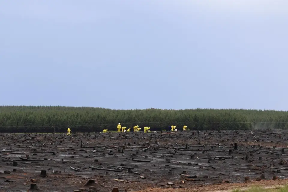 KZN12.jpg(72).jpg