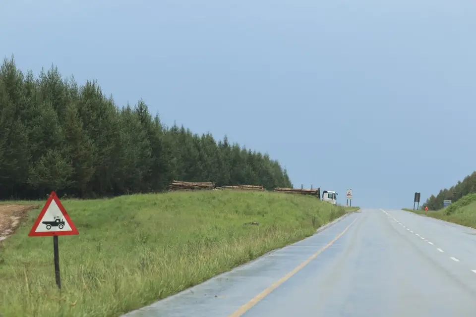 KZN12.jpg(73).jpg