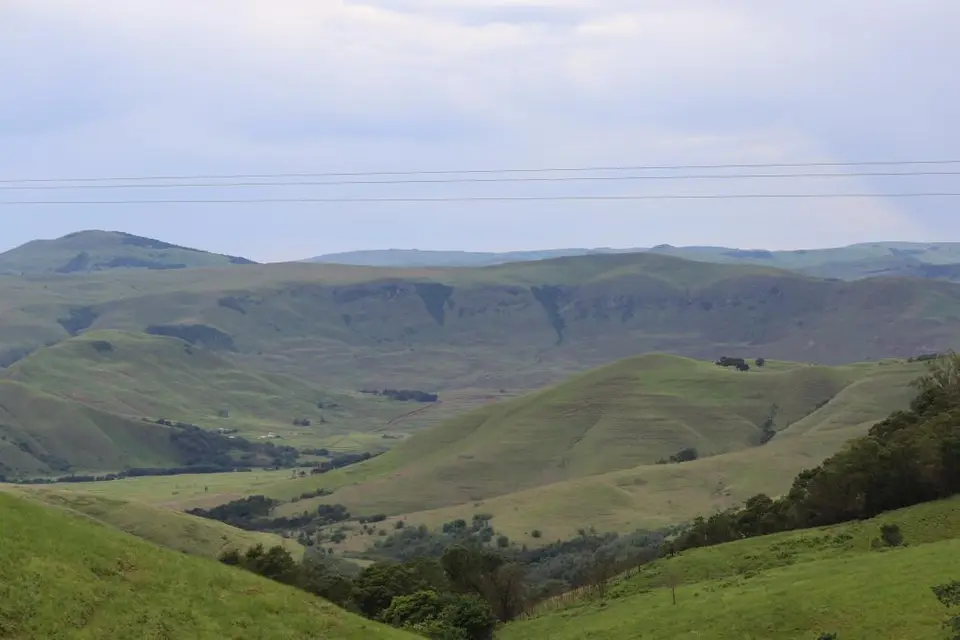 KZN12.jpg(85).jpg