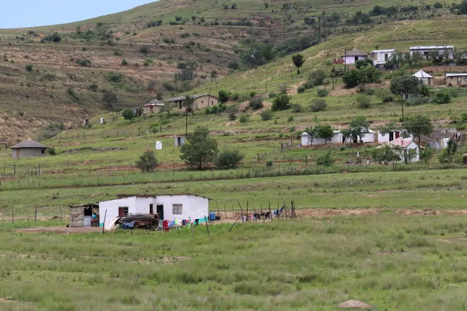 KZN12.jpg(95).jpg