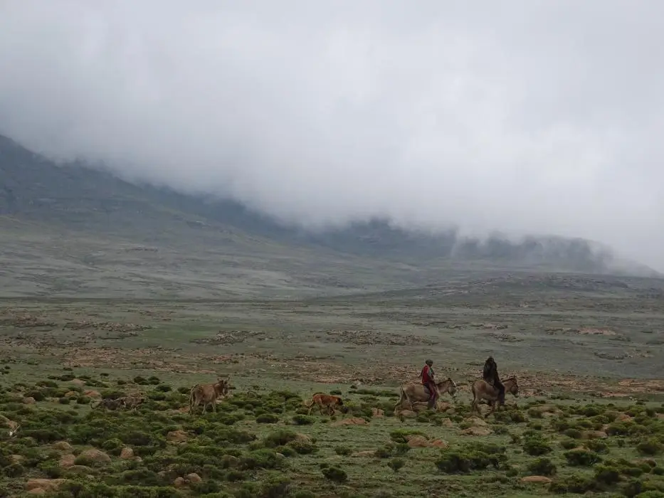 KZN13.jpg(101).jpg