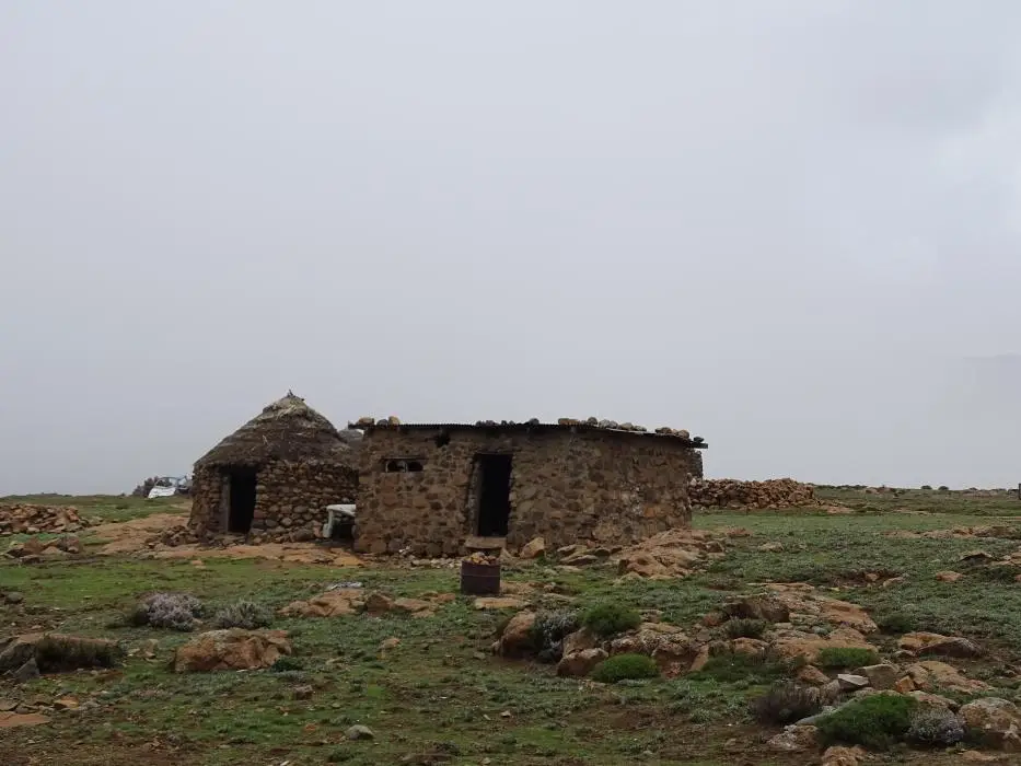 KZN13.jpg(135).jpg
