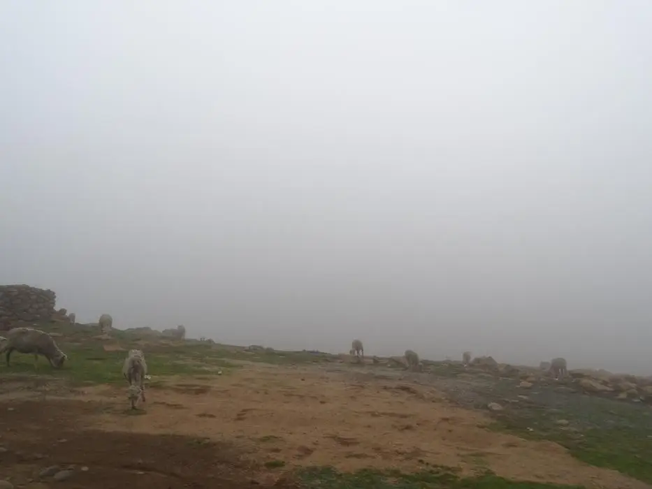 KZN13.jpg(138).jpg