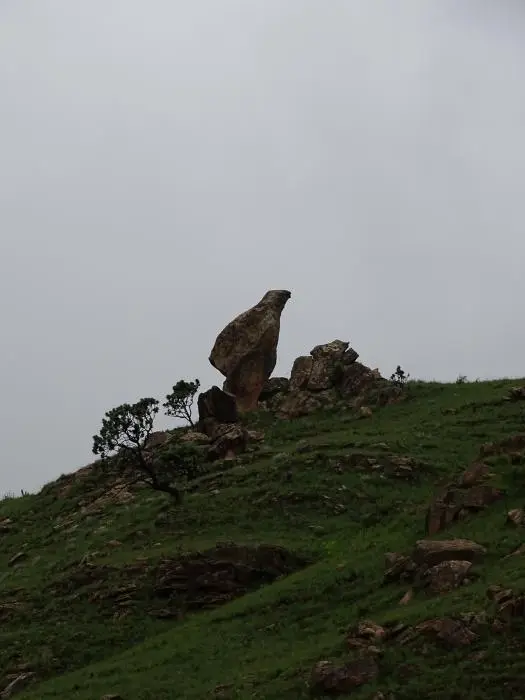 KZN13.jpg(157).jpg
