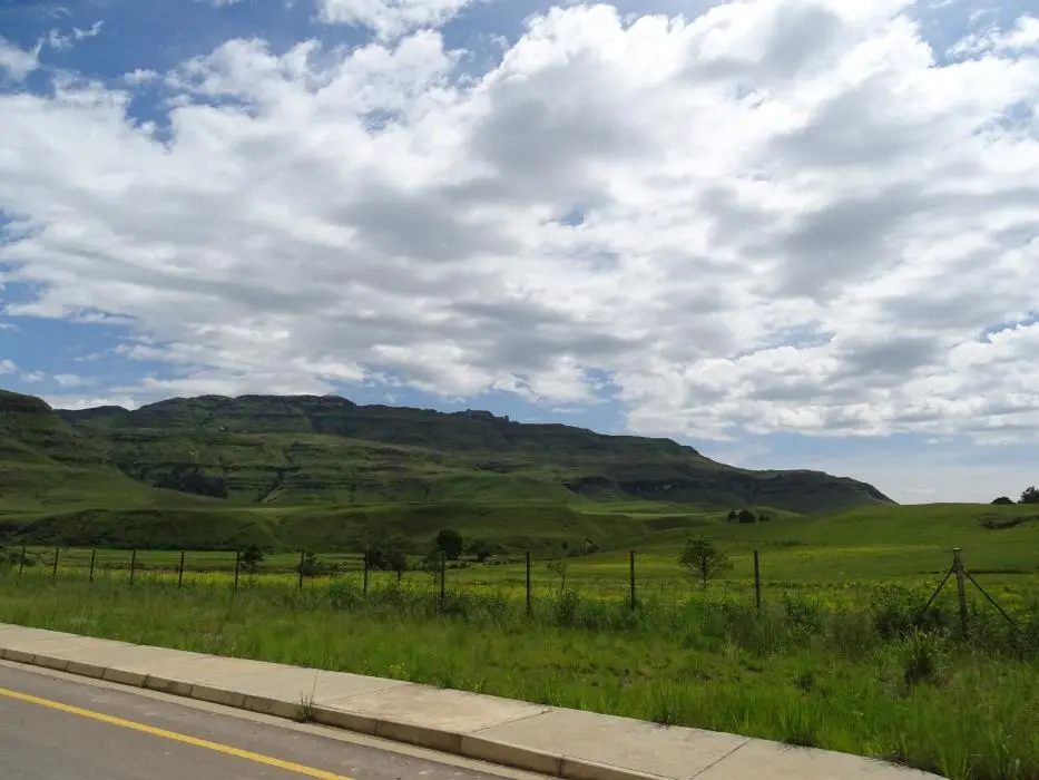 KZN13.jpg(16).jpg