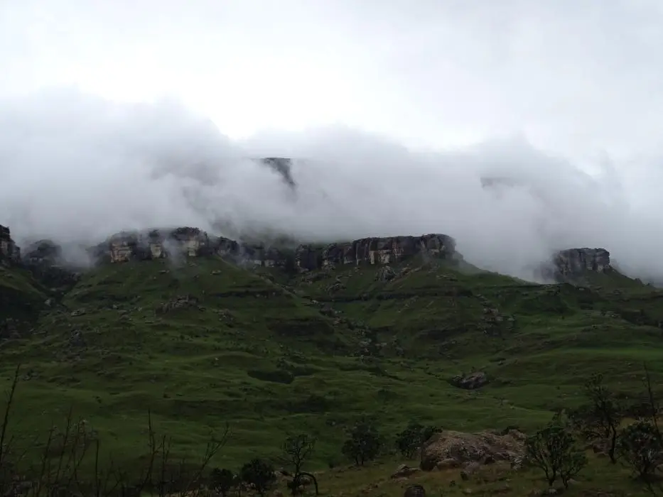 KZN13.jpg(160).jpg