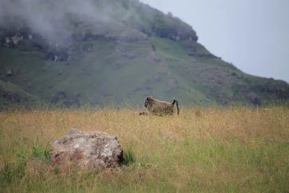 KZN13.jpg(163).jpg