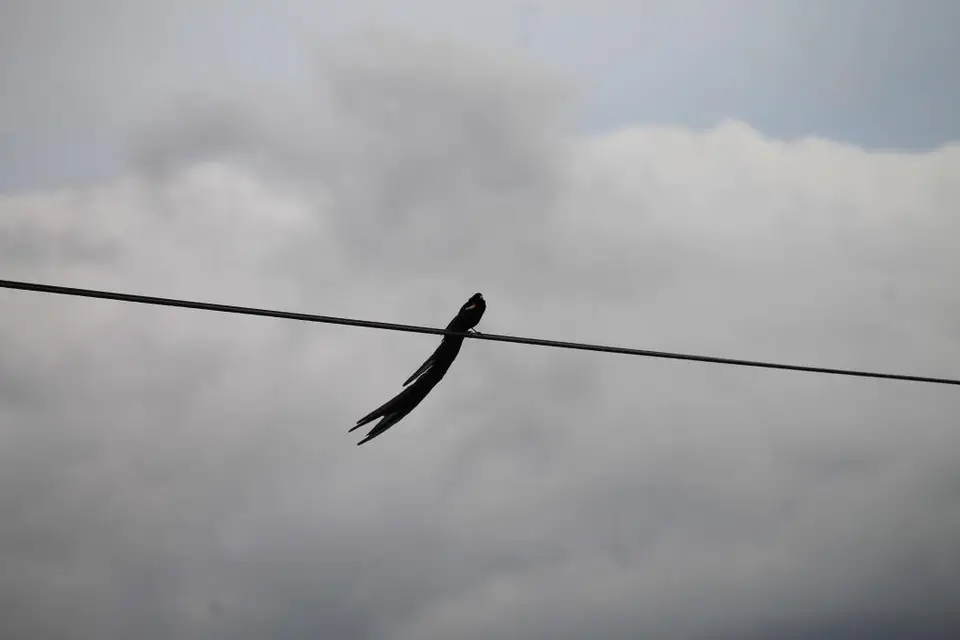 KZN13.jpg(171).jpg