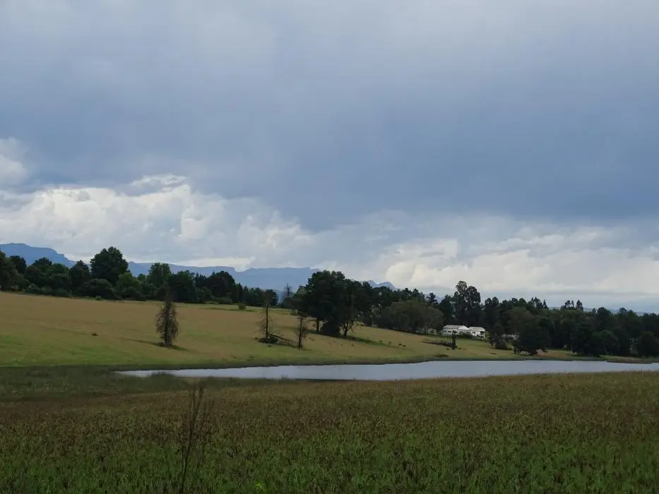 KZN13.jpg(180).jpg