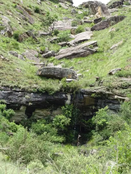 KZN13.jpg(32).jpg