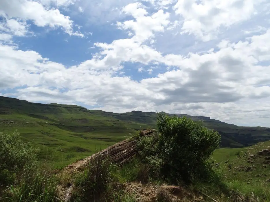 KZN13.jpg(40).jpg