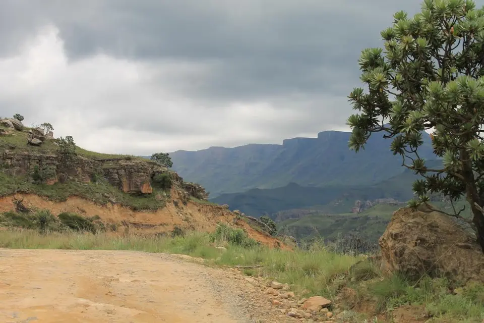 KZN13.jpg(47).jpg