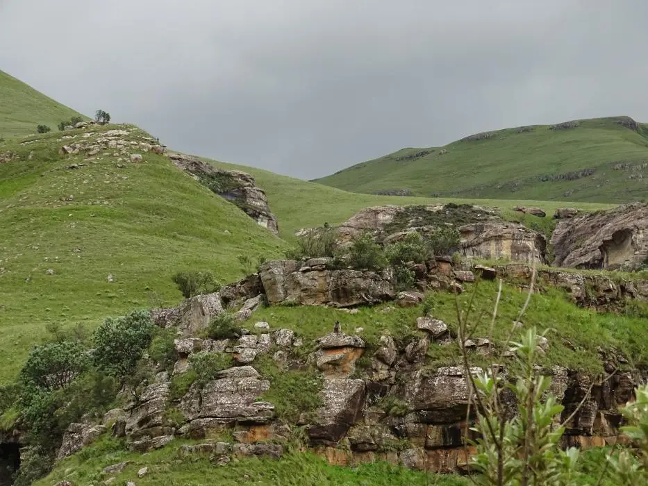 KZN13.jpg(56).jpg