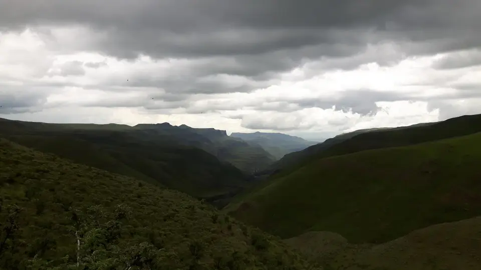 KZN13.jpg(63).jpg