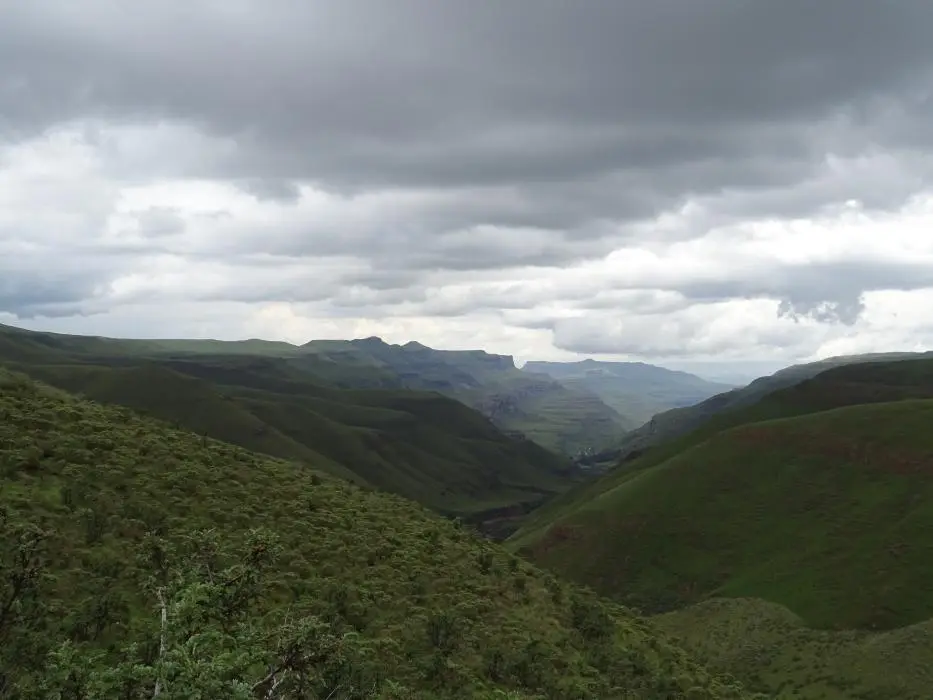 KZN13.jpg(66).jpg