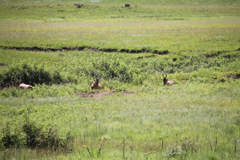 KZN13.jpg(8).jpg