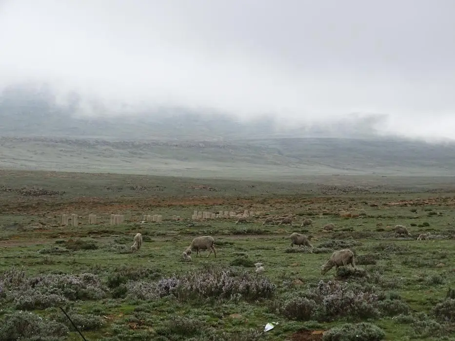 KZN13.jpg(82).jpg
