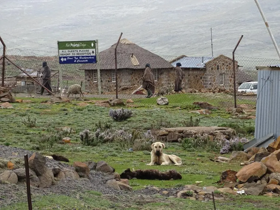 KZN13.jpg(84).jpg