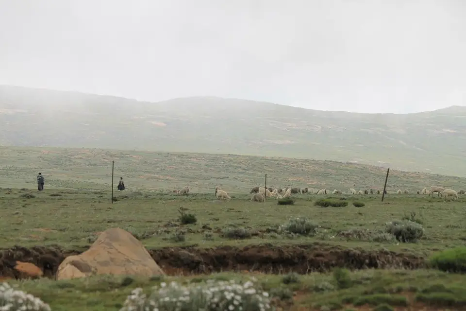 KZN13.jpg(87).jpg