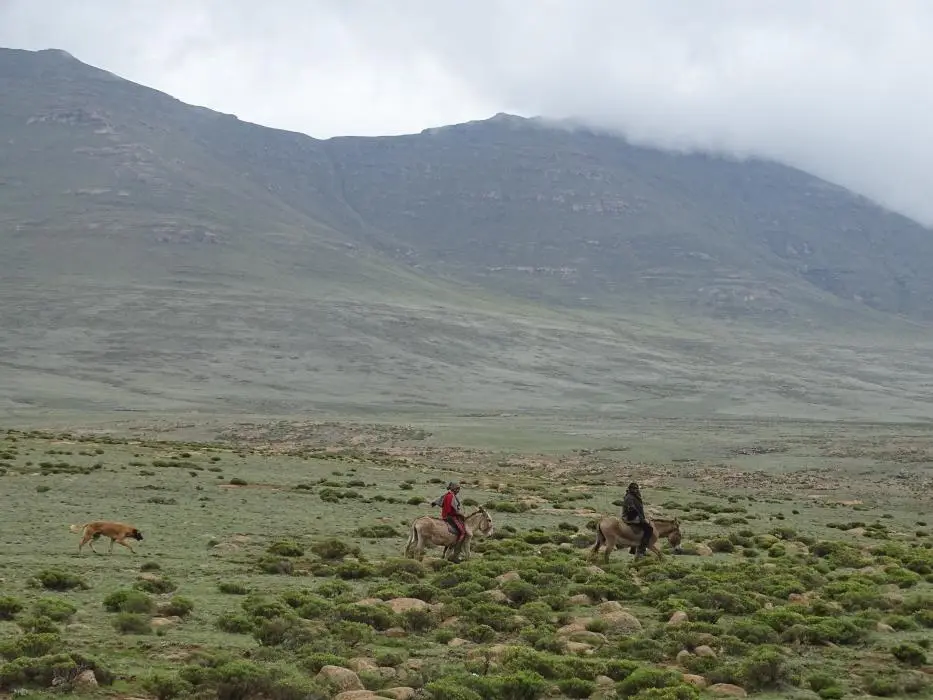 KZN13.jpg(99).jpg