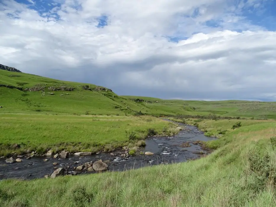 KZN14.jpg(101).jpg