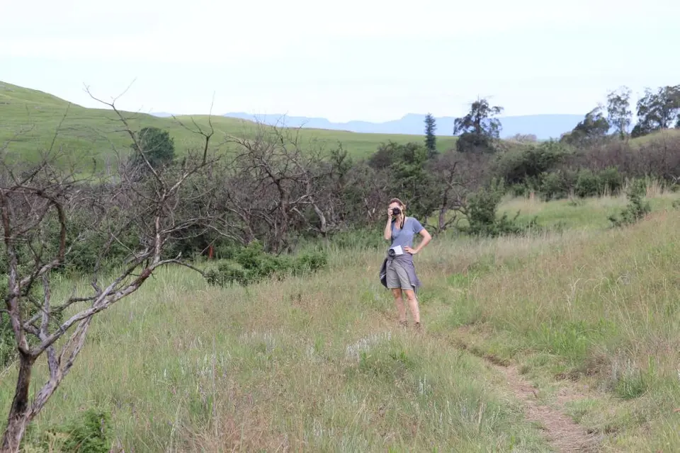 KZN14.jpg(105).jpg