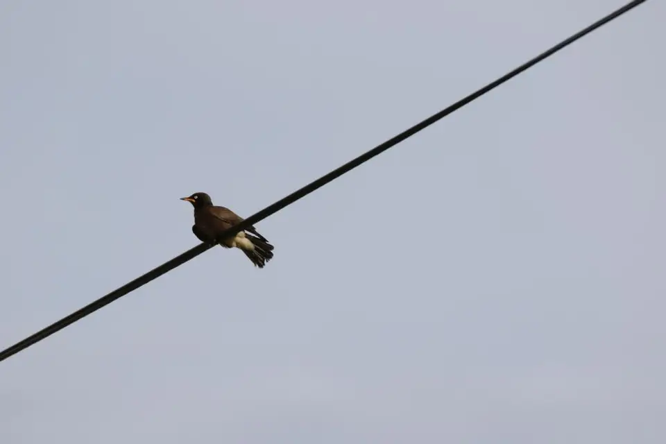 KZN14.jpg(133).jpg