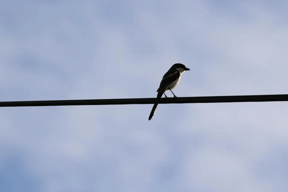KZN14.jpg(135).jpg