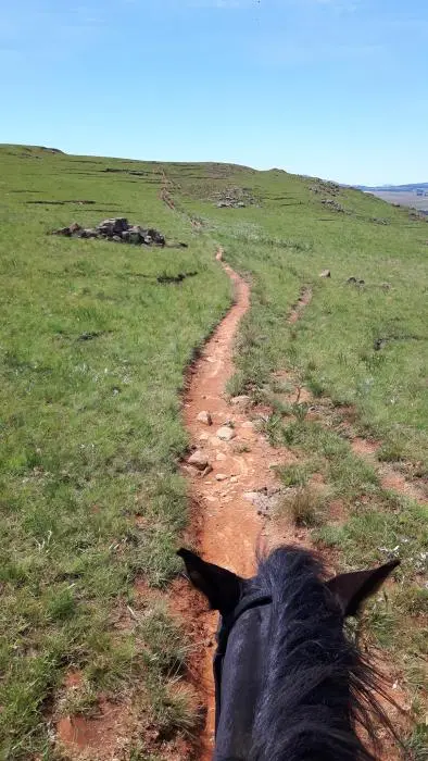KZN14.jpg(36).jpg
